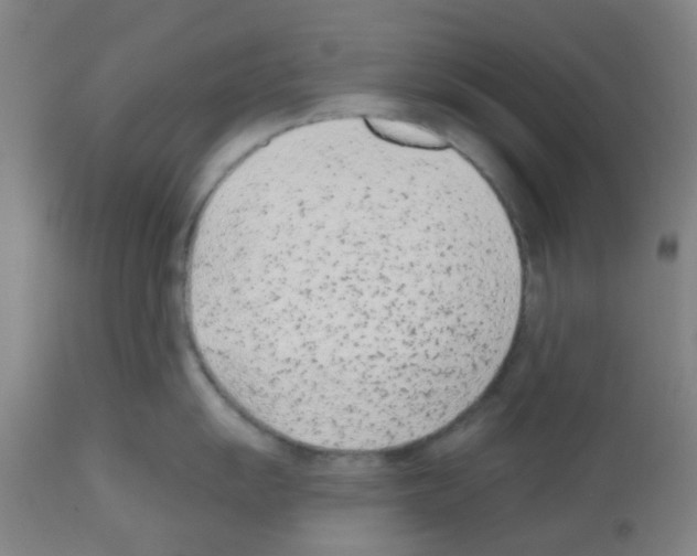 X0000112481055200909281104