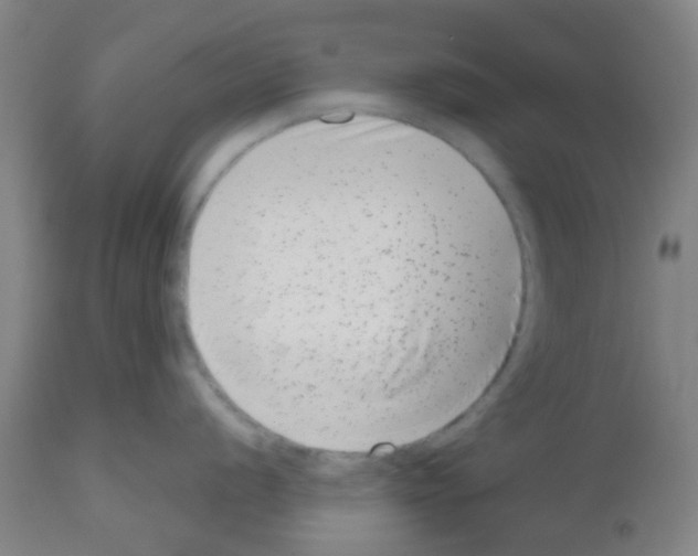 X0000112481056200909281104