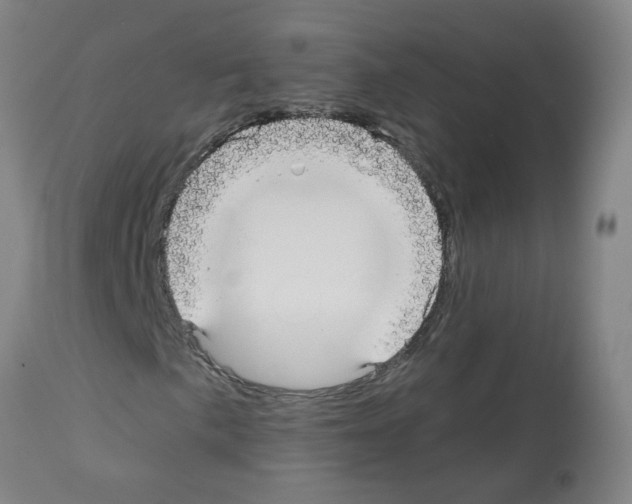 X0000112481057200909281104