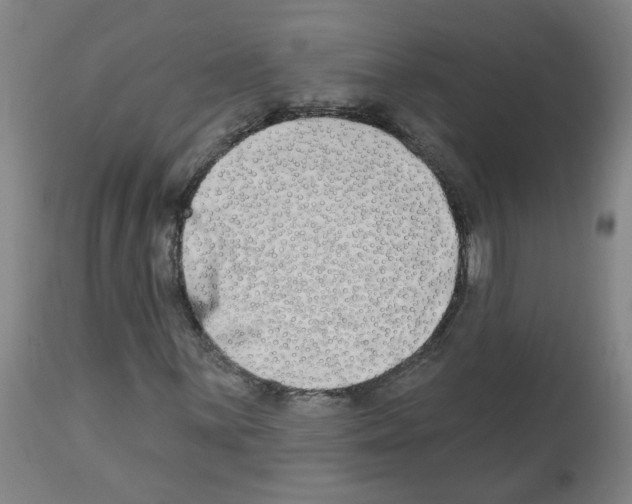 X0000112481059200909281104