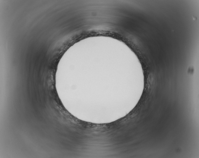 X0000112481062200909281104