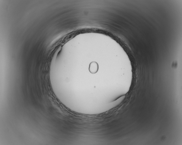 X0000112481064200909281104