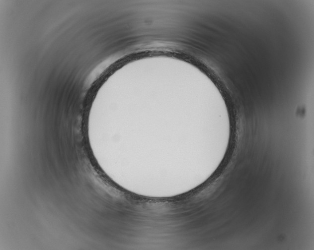 X0000112481066200909281104