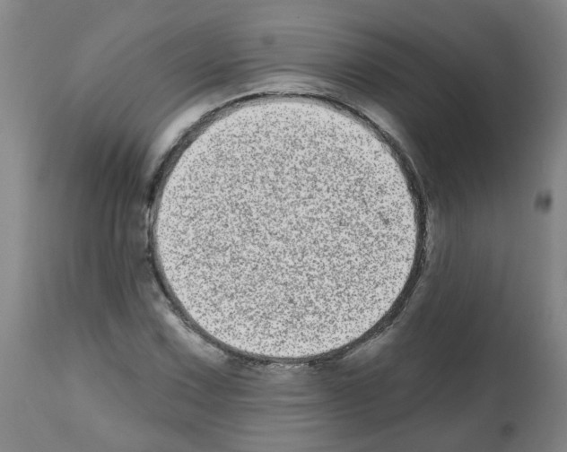 X0000112481067200909281104