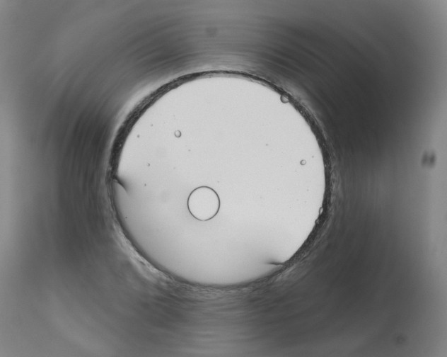 X0000112481072200909281104