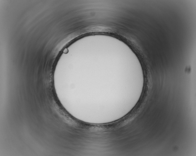 X0000112481073200909281104