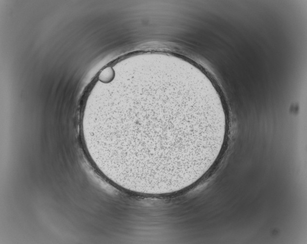 X0000112481075200909281104