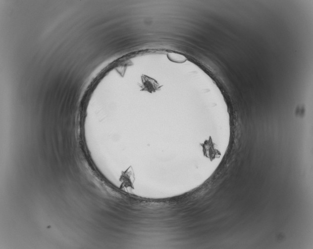 X0000112481076200909281104