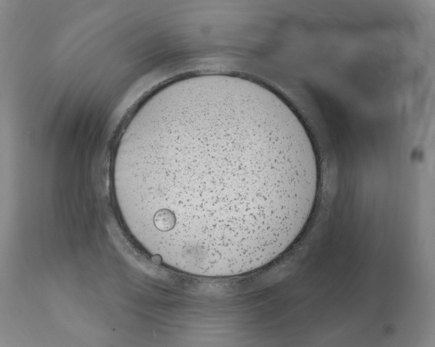 X0000112481078200909281104