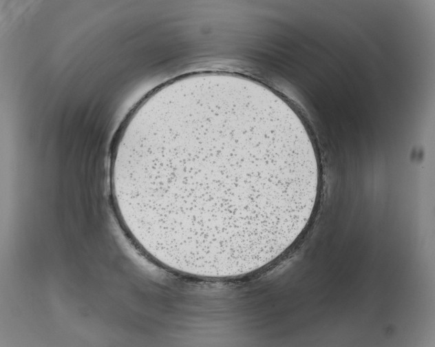 X0000112481079200909281104