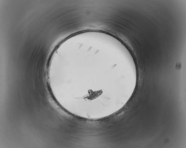 X0000112481080200909281104