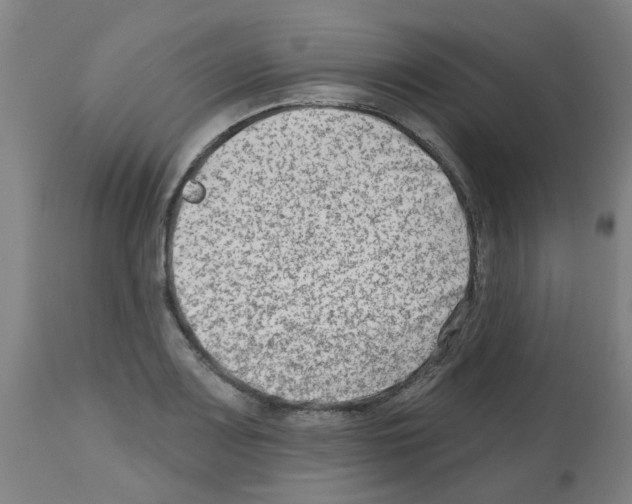 X0000112481083200909281103