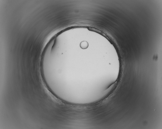 X0000112481085200909281103