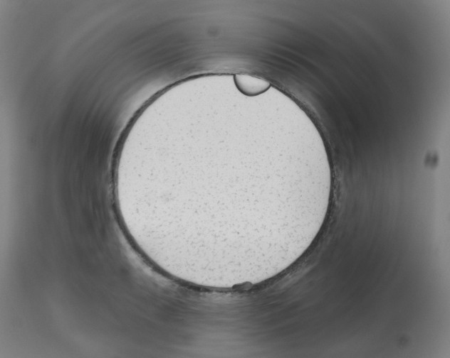 X0000112481087200909281103