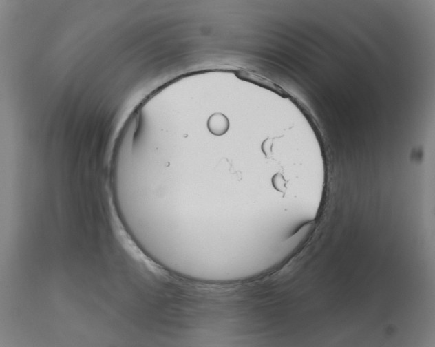 X0000112481088200909281103