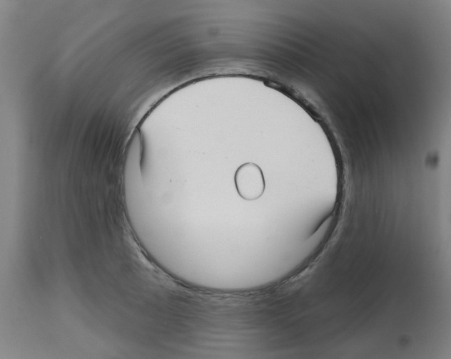 X0000112481089200909281103