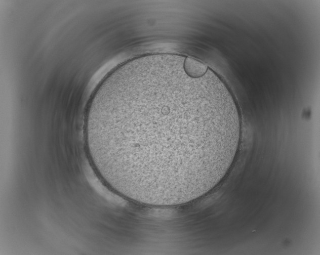 X0000112481090200909281103