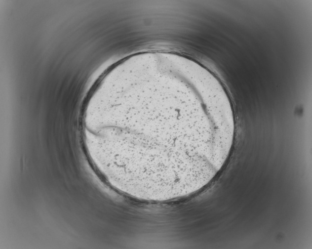 X0000112481091200909281103