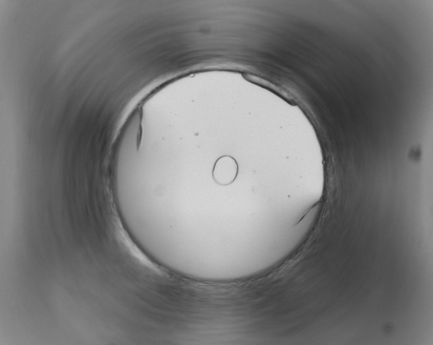 X0000112481092200909281103