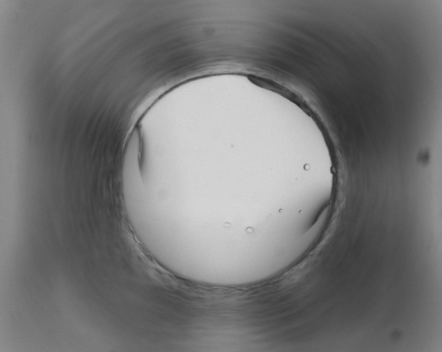 X0000112481097200909281103