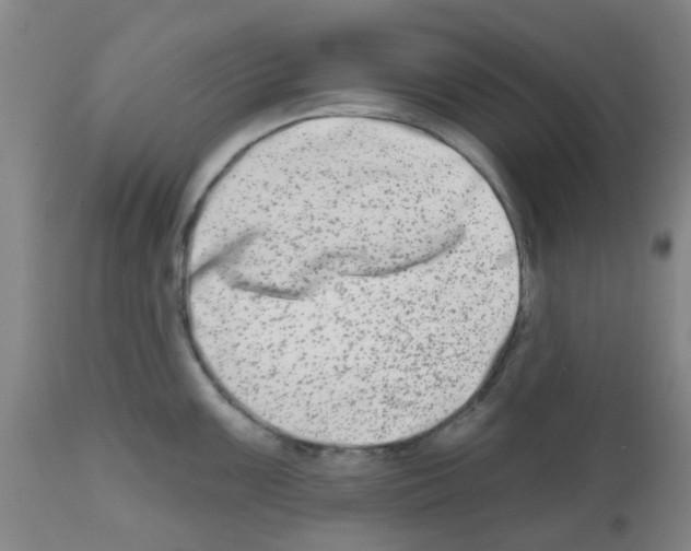 X0000112481099200909281103