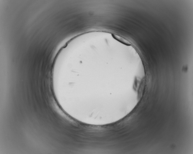 X0000112481100200909281103