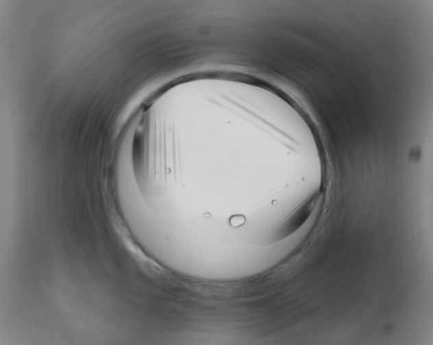 X0000112481101200909281103