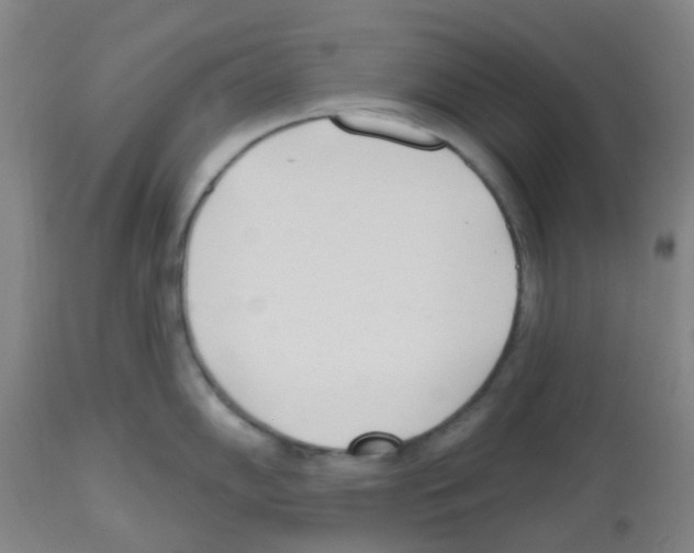 X0000112481102200909281103