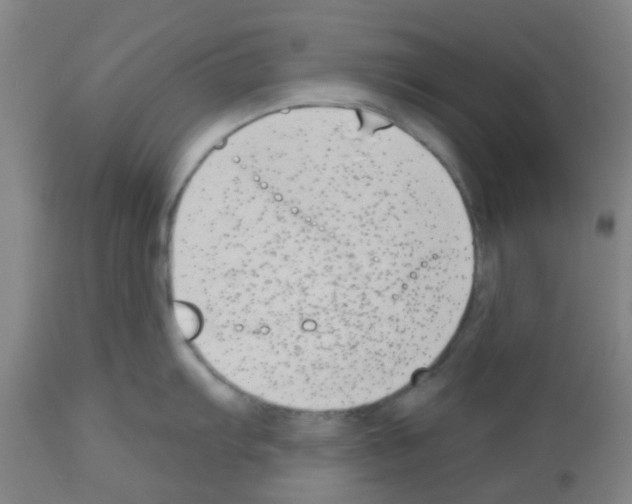 X0000112481103200909281103