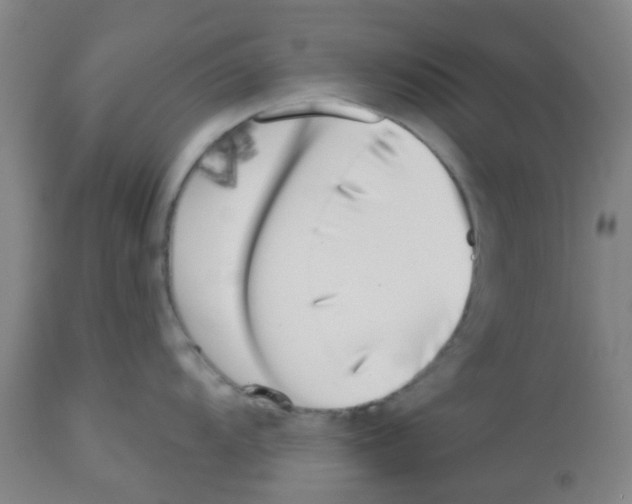 X0000112481104200909281103