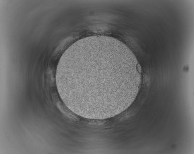 X0000112481106200909281102