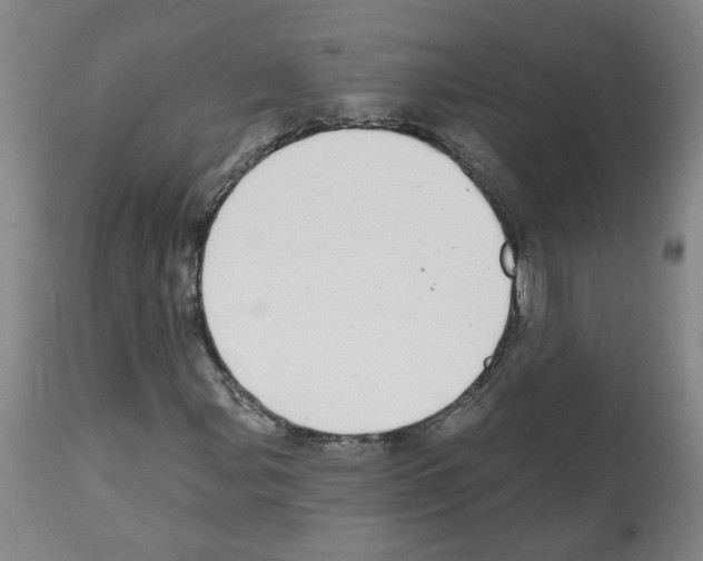 X0000112481107200909281102