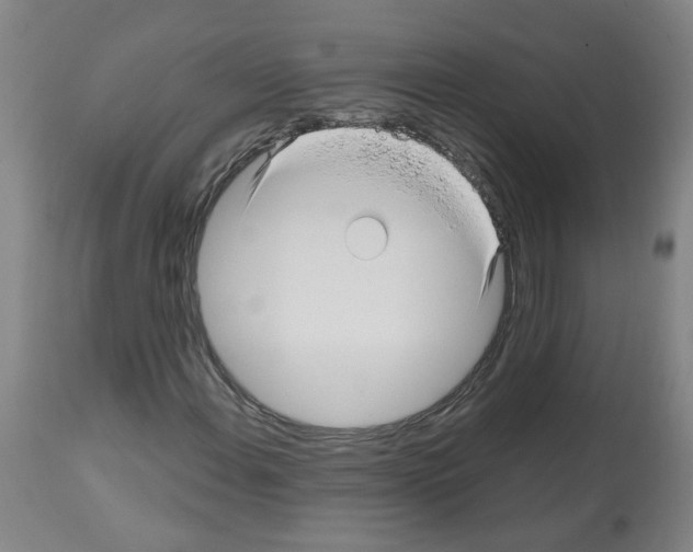 X0000112481108200909281102