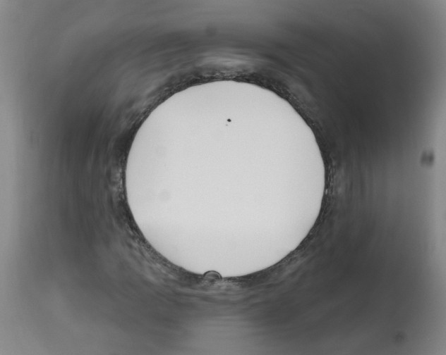 X0000112481109200909281102