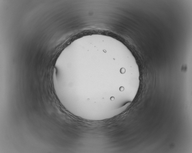 X0000112481110200909281102