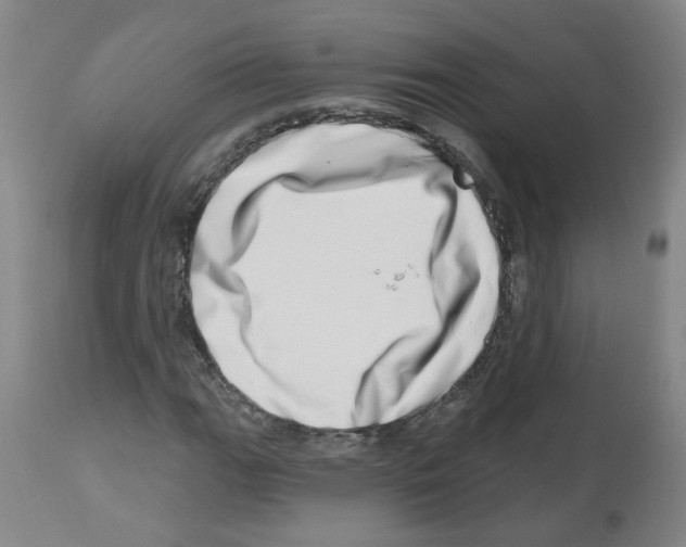 X0000112481111200909281102