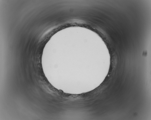 X0000112481112200909281102