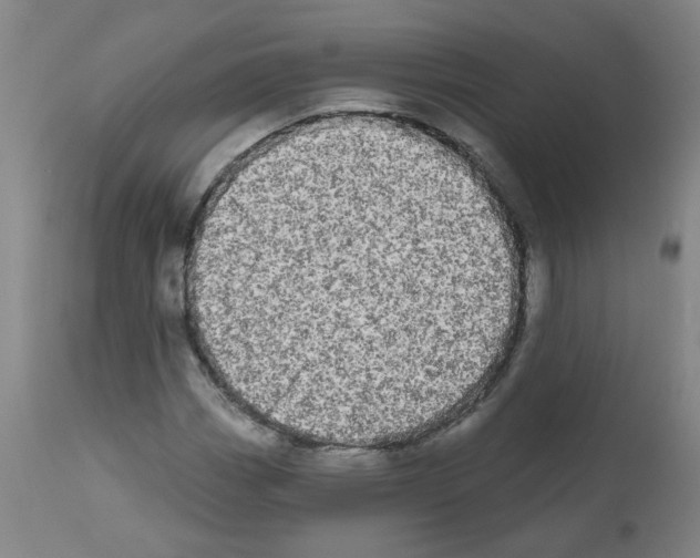 X0000112481113200909281102