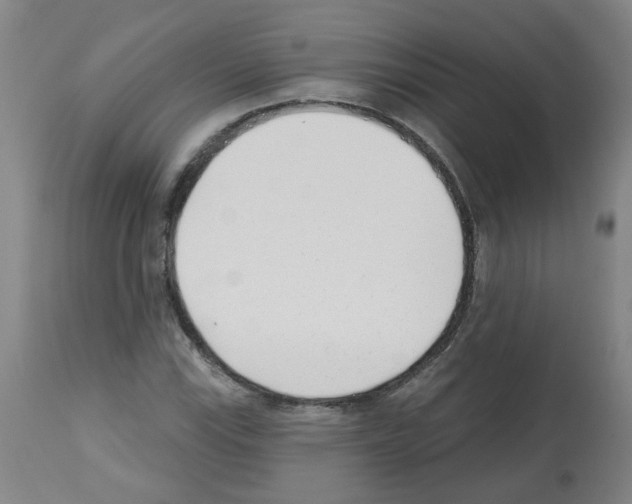 X0000112481115200909281102