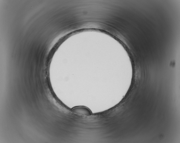 X0000112481116200909281102