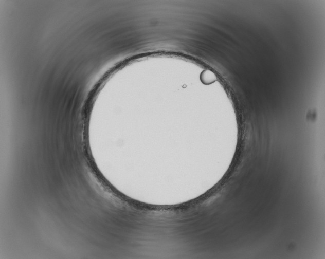 X0000112481118200909281103