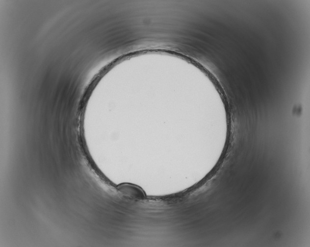 X0000112481119200909281103