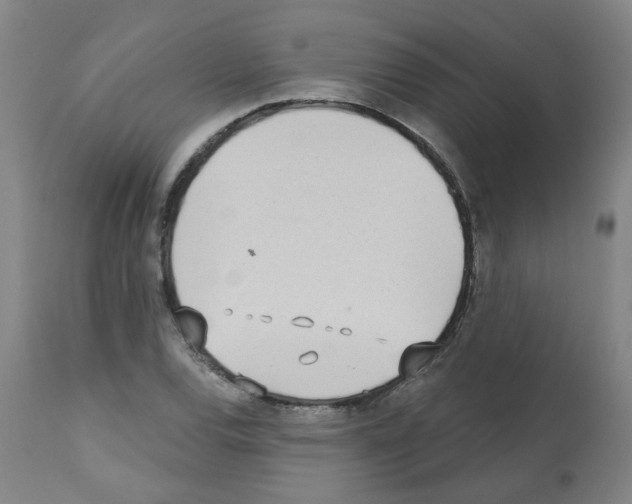 X0000112481120200909281103