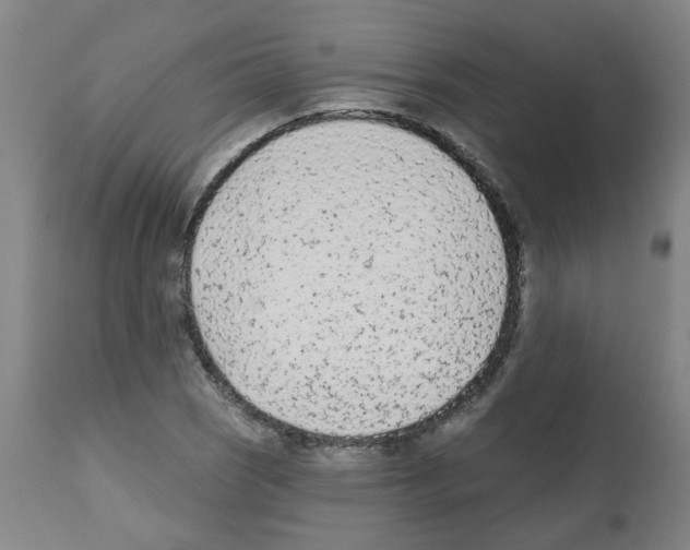 X0000112481121200909281103