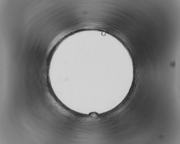 X0000112481122200909281103