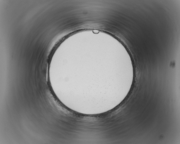 X0000112481123200909281103