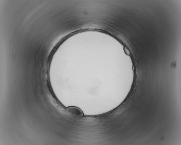 X0000112481124200909281103