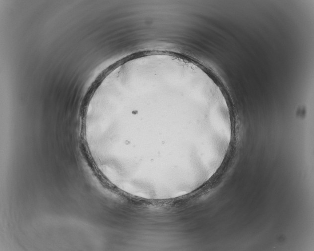 X0000112481125200909281103