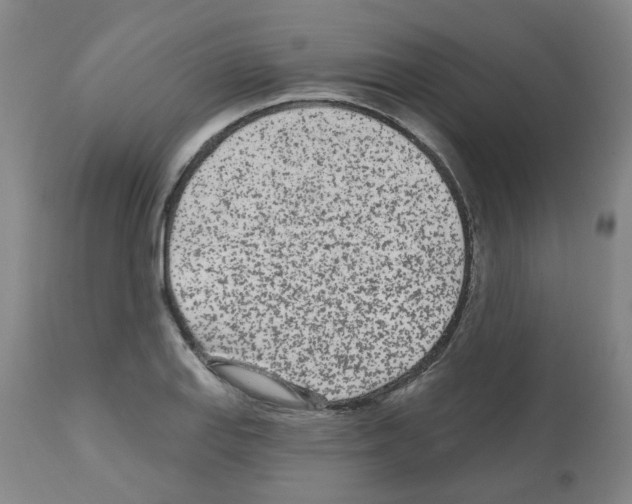 X0000112481127200909281103