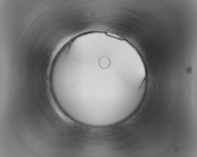 X0000112481128200909281103